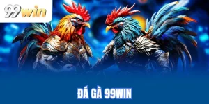 Đá gà 99WIN