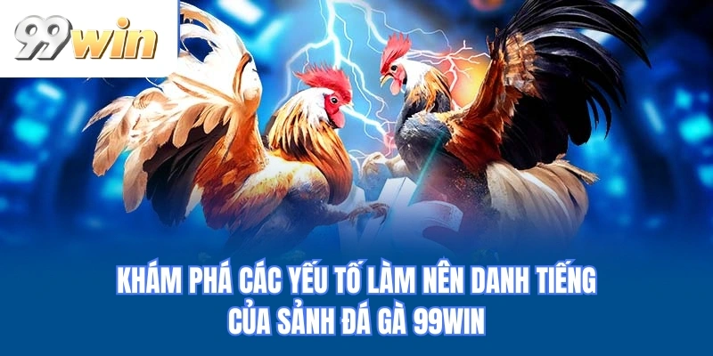 Khám phá các yếu tố làm nên danh tiếng của sảnh đá gà 99WIN