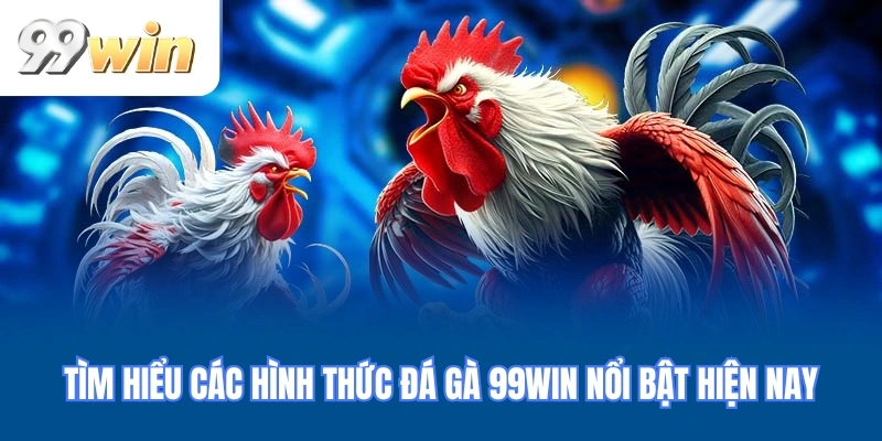 Tìm hiểu các hình thức đá gà 99WIN nổi bật hiện nay
