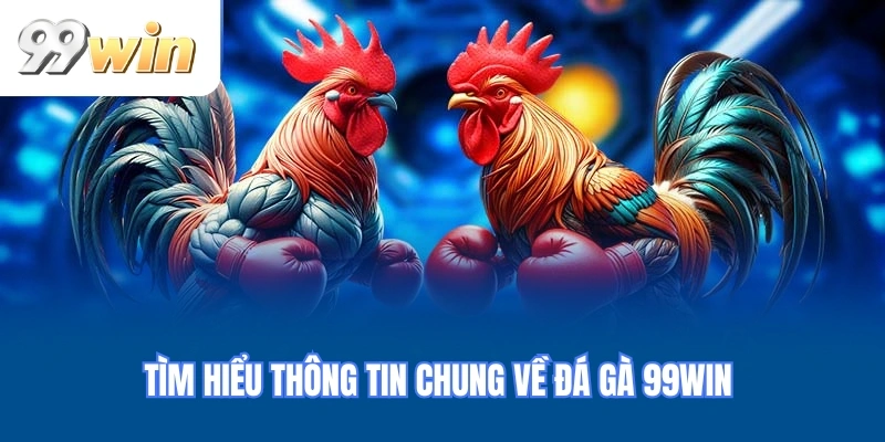 Tìm hiểu thông tin chung về ĐÁ GÀ 99WIN
